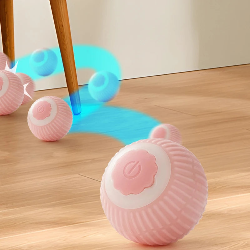 Cat chasing Magic Roller Ball interactive toy