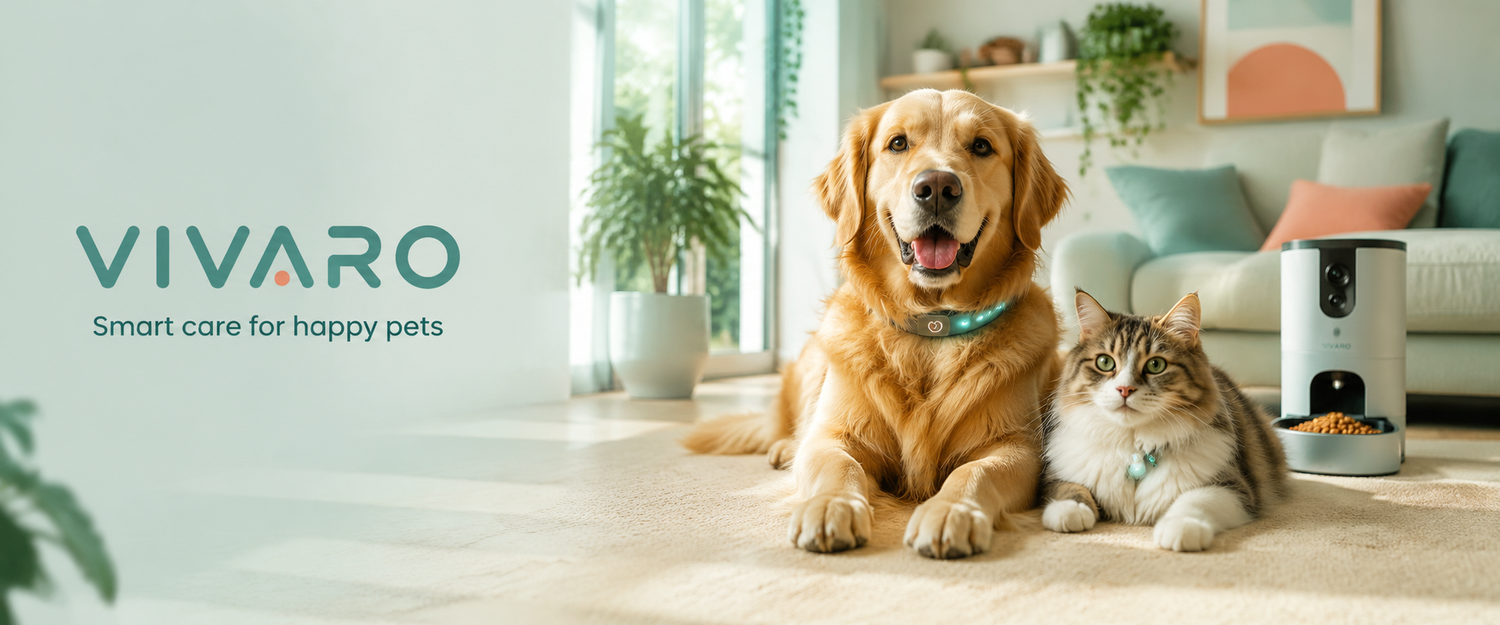 Vivaro: smart care for happy pets, with a dog and cat wearing smart collars